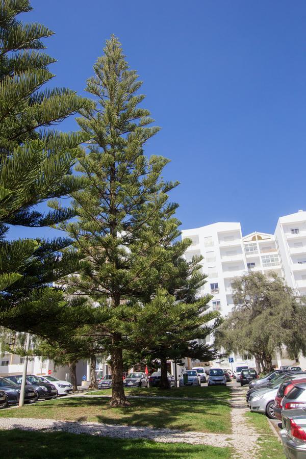 Casa Da Praia Lagos Exterior foto